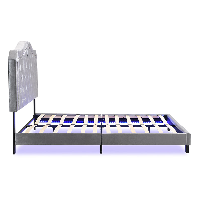Light Grey Velvet Upholstered Bed with LED Lights and Slat Support