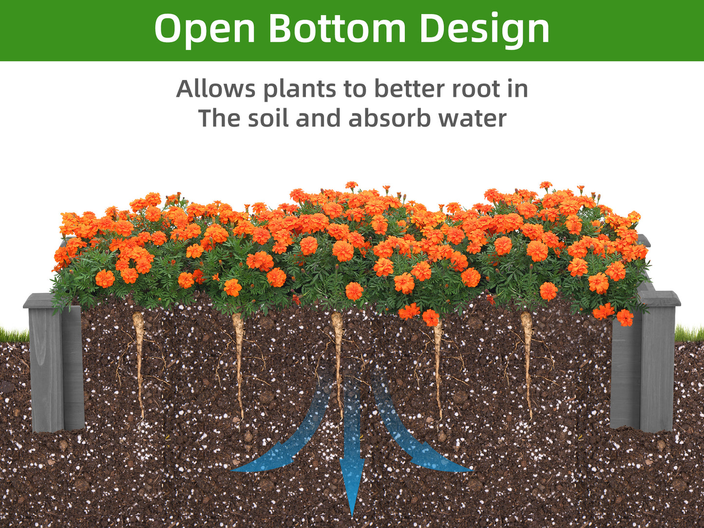 Diagram showing open bottom raised garden bed for healthy plant roots