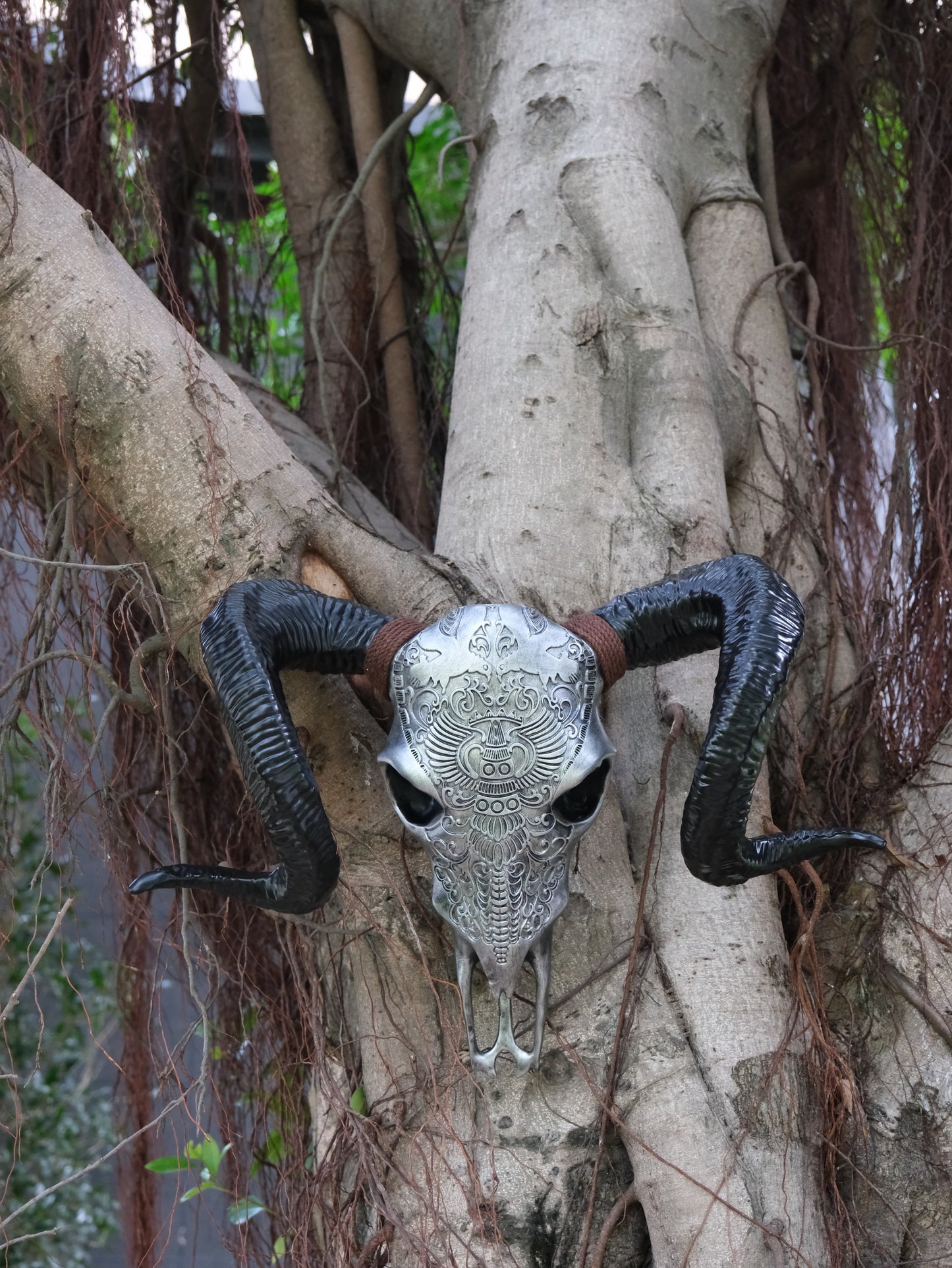 Ornate silver ram skull with black horns a striking wall decor piece