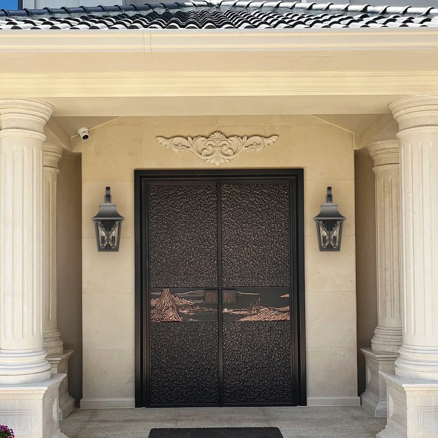 Elegant black metal double entry door with embossed textured panels and landscape relief