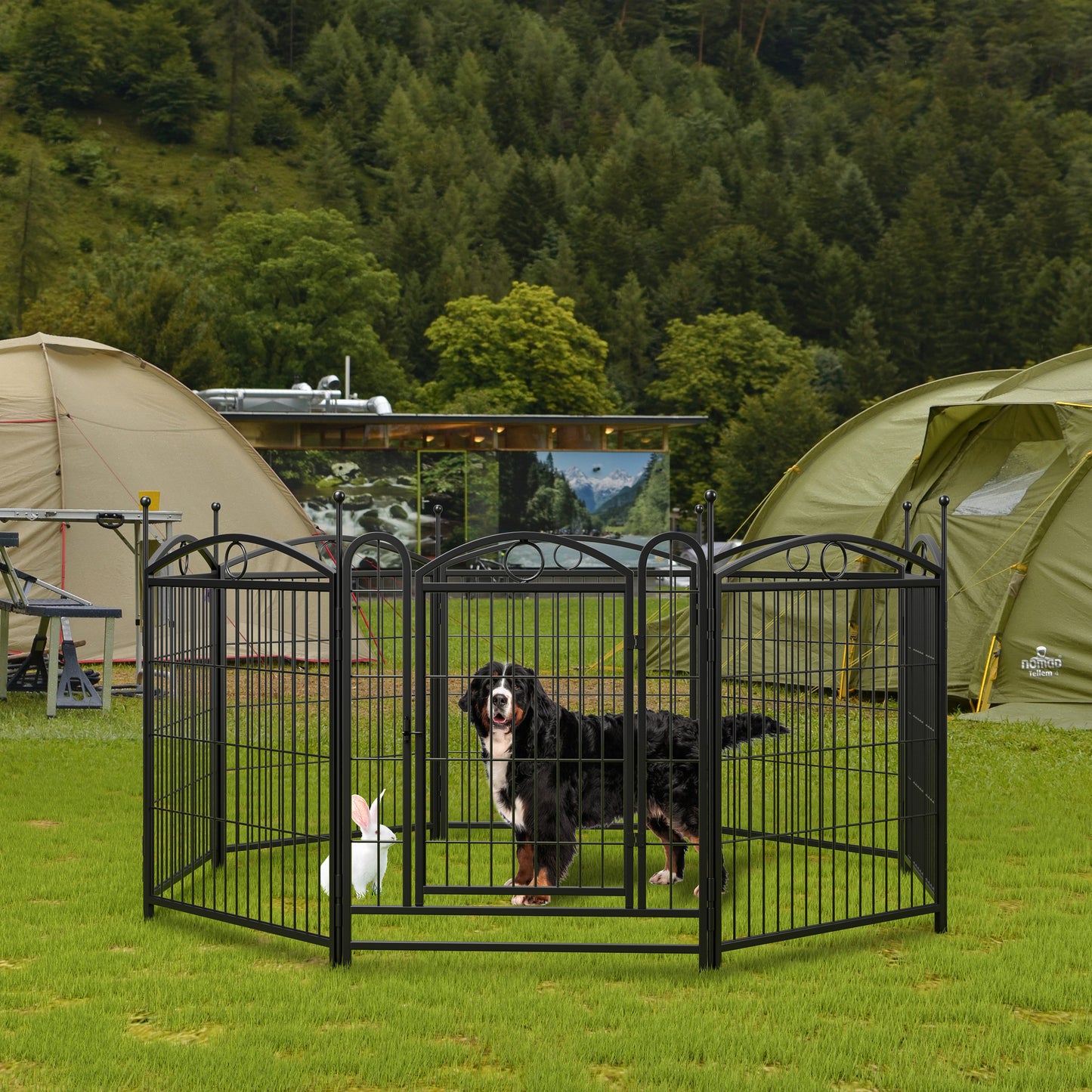 Black metal dog kennel with ornate top featuring a Bernese Mountain Dog and white rabbit
