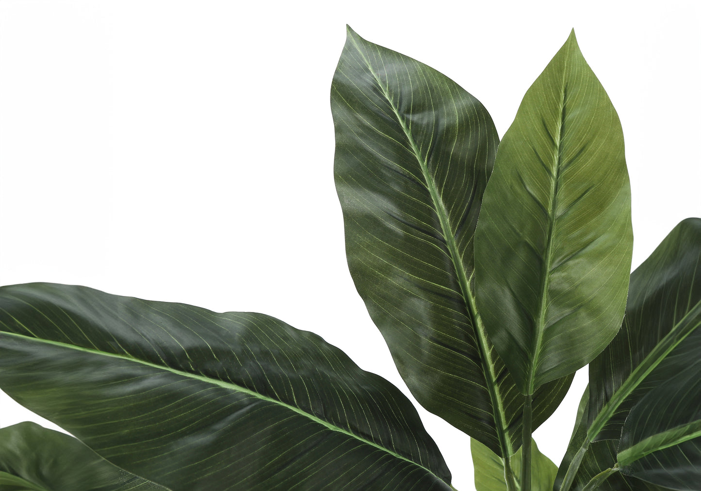 Closeup of large dark green artificial plant leaves with prominent light green veins