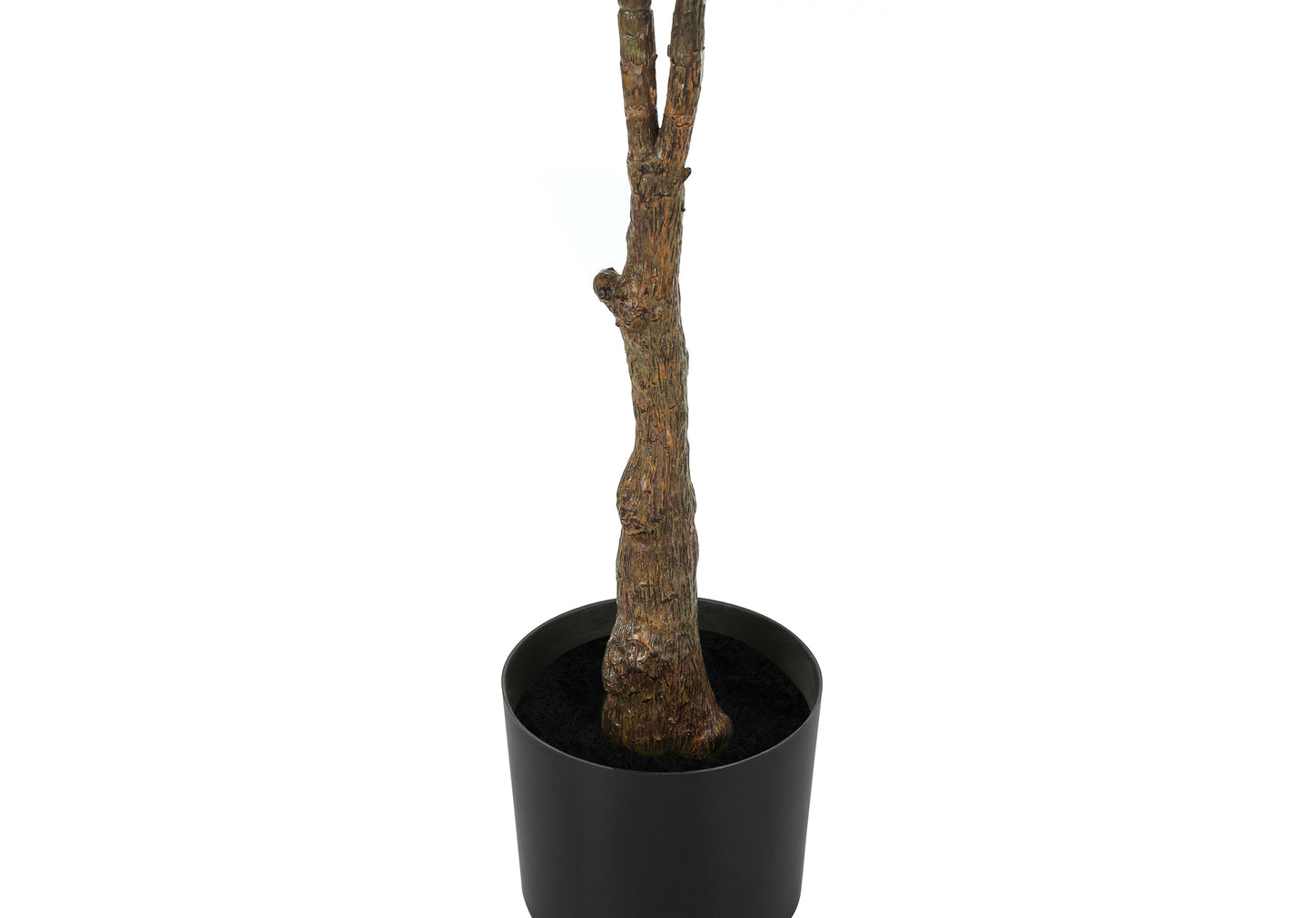 Closeup of a realistic faux ficus tree trunk in a black planter