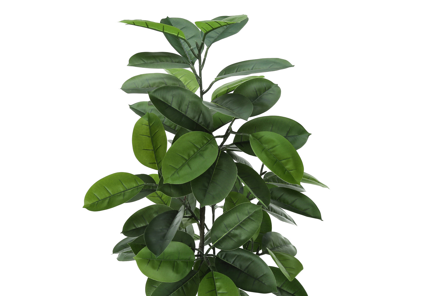 Artificial rubber plant with dark green waxy leaves and thick stems
