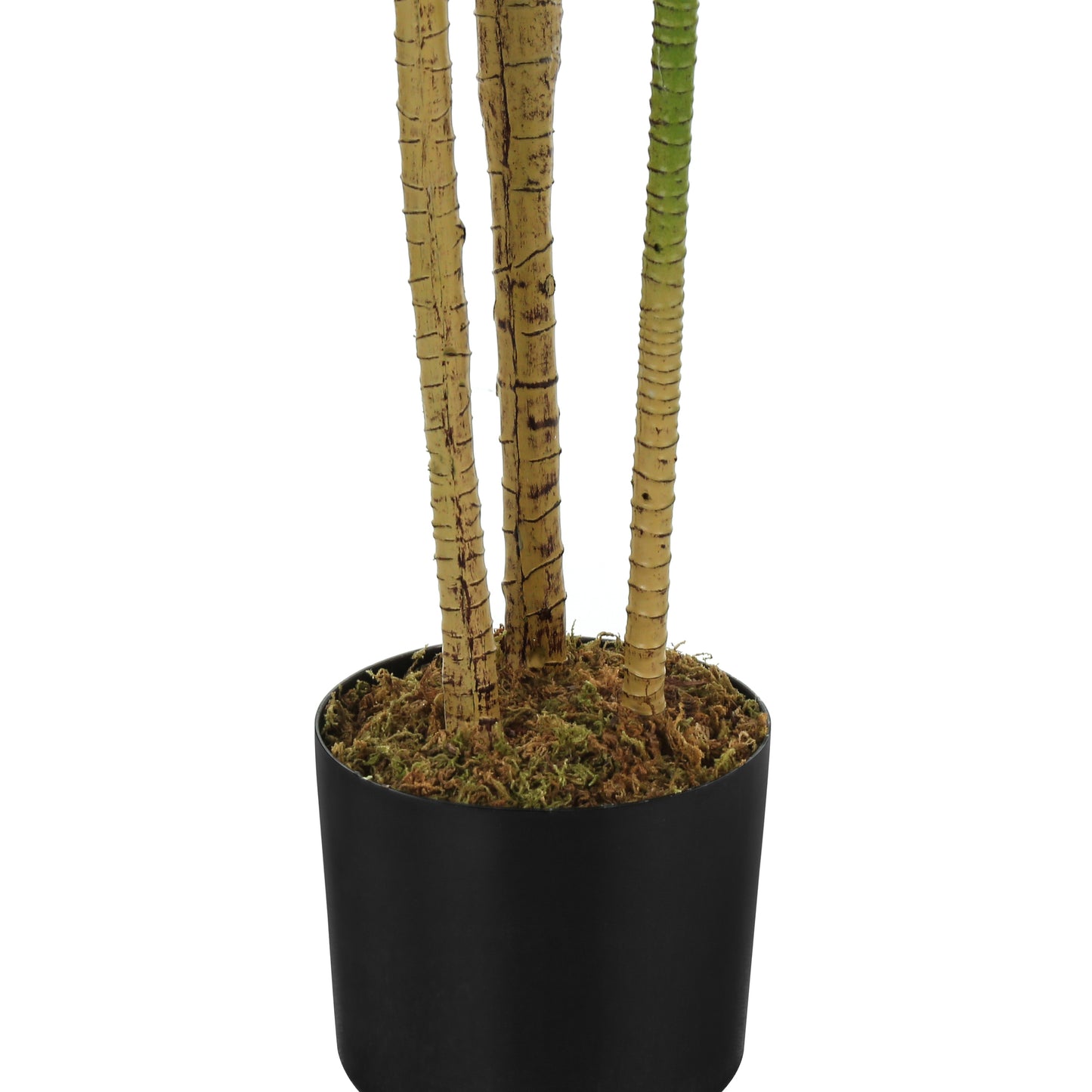 Close up of a realistic faux palm tree trunk with textured bark and moss in a black pot
