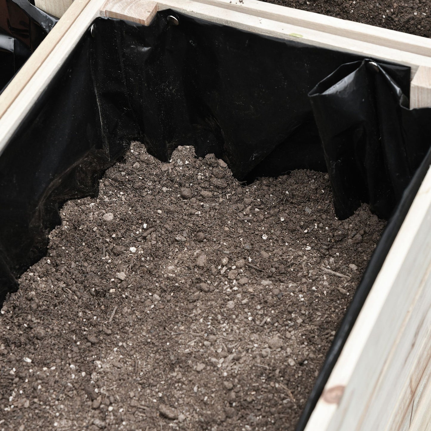 Wooden raised garden bed frame with black liner filled with rich soil