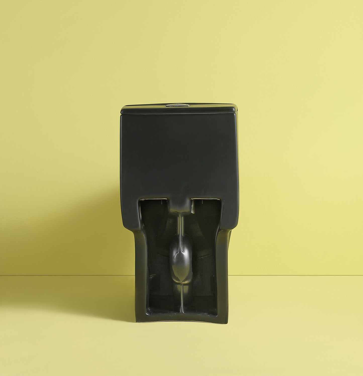 Sleek black onepiece toilet with hidden cistern for modern bathrooms