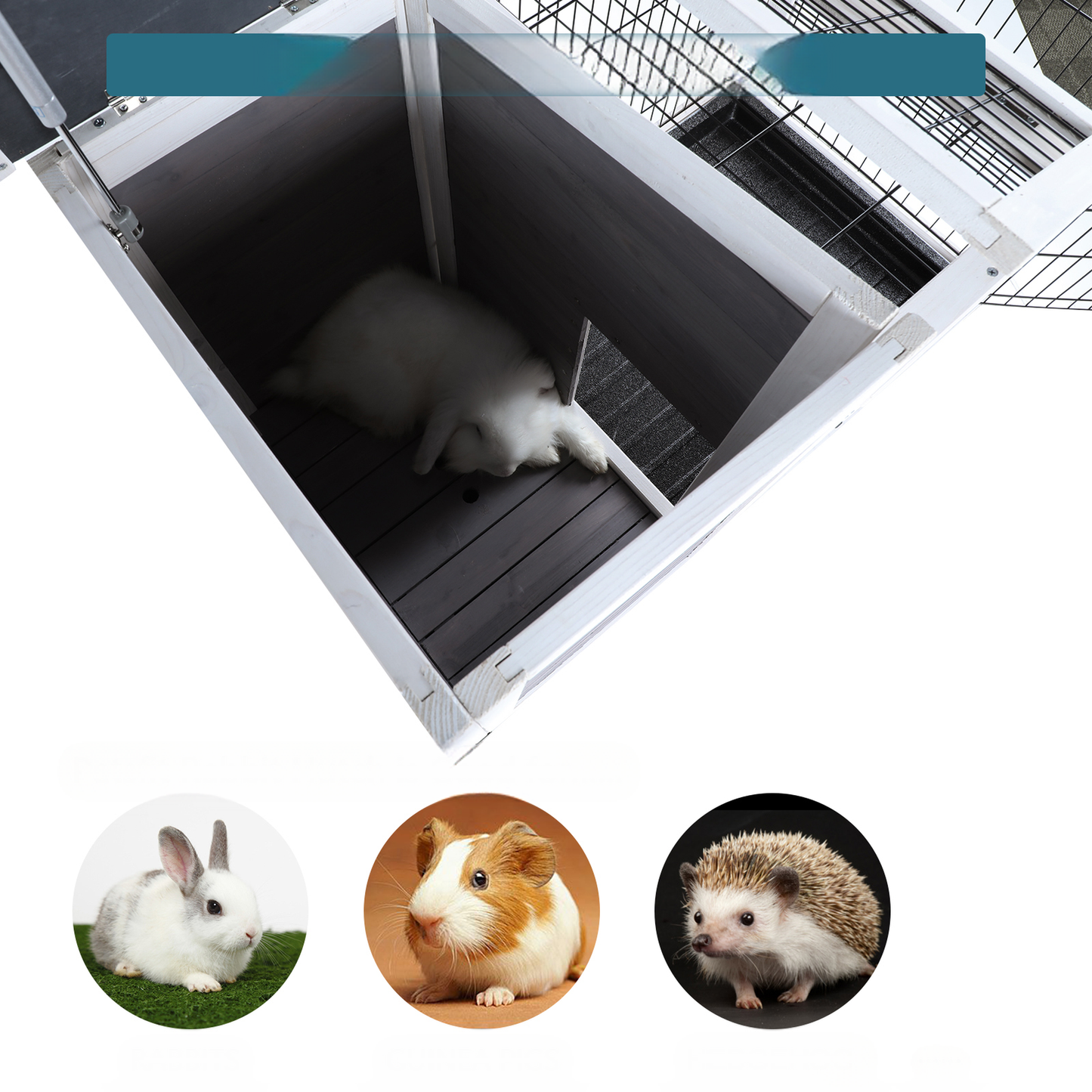 Wooden rabbit hutch with wire mesh top and a white rabbit inside