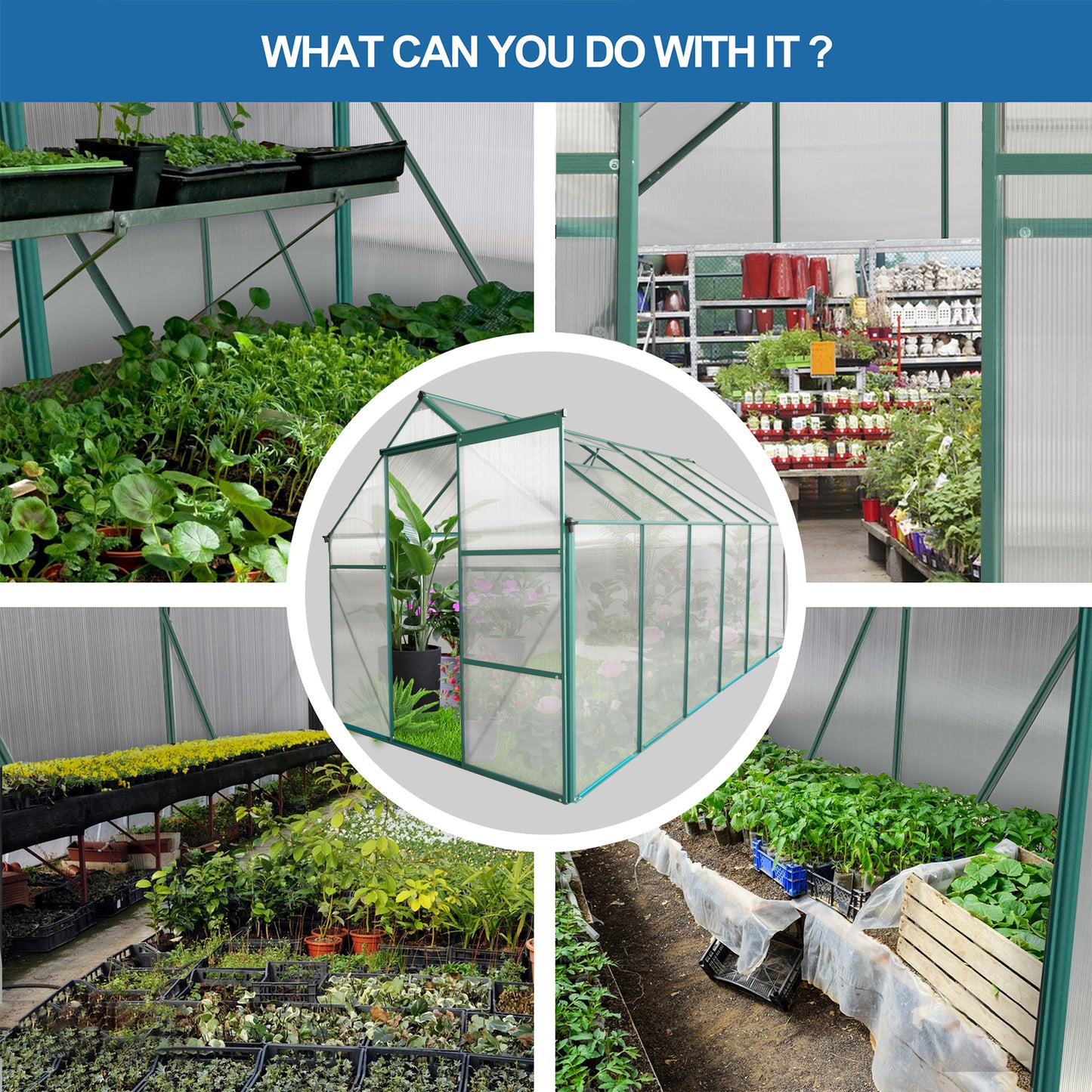 Greenhouse with polycarbonate panels and metal frame ideal for growing plants