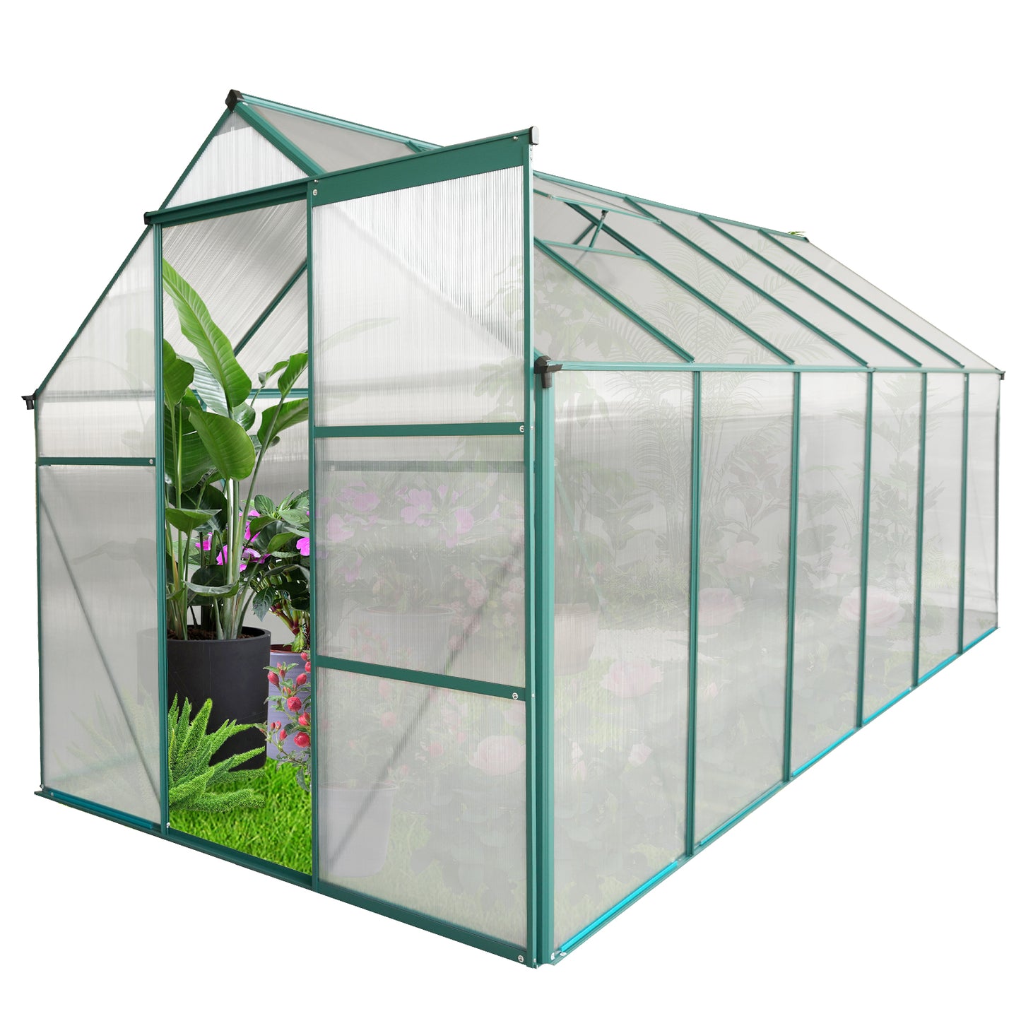 Green aluminum frame greenhouse with clear polycarbonate panels and an open door featuring lush plants inside