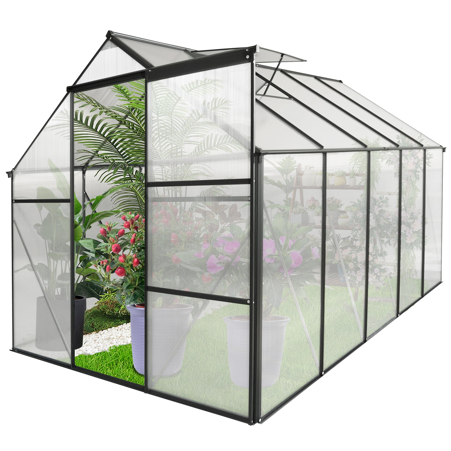 Black frame polycarbonate backyard greenhouse with plants inside