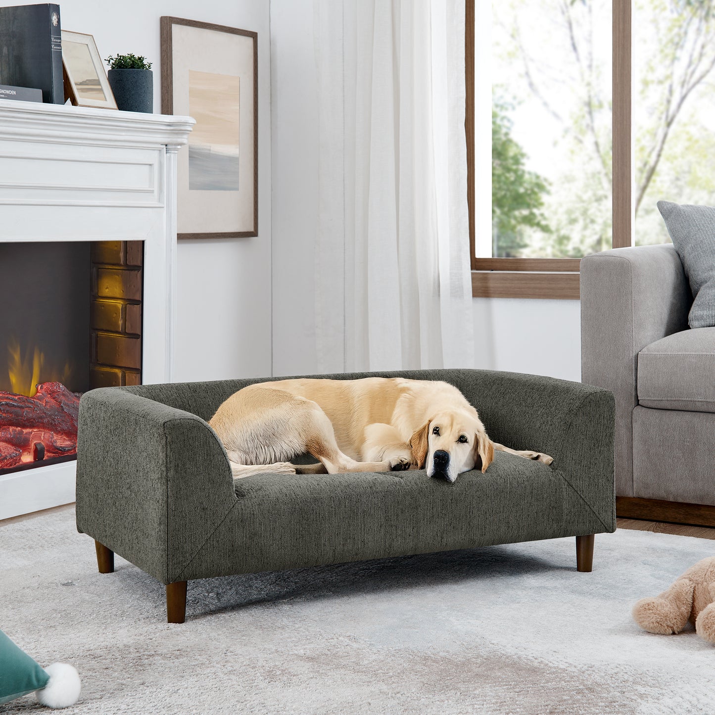 A golden retriever dog rests on a dark grey upholstered dog sofa with wooden legs