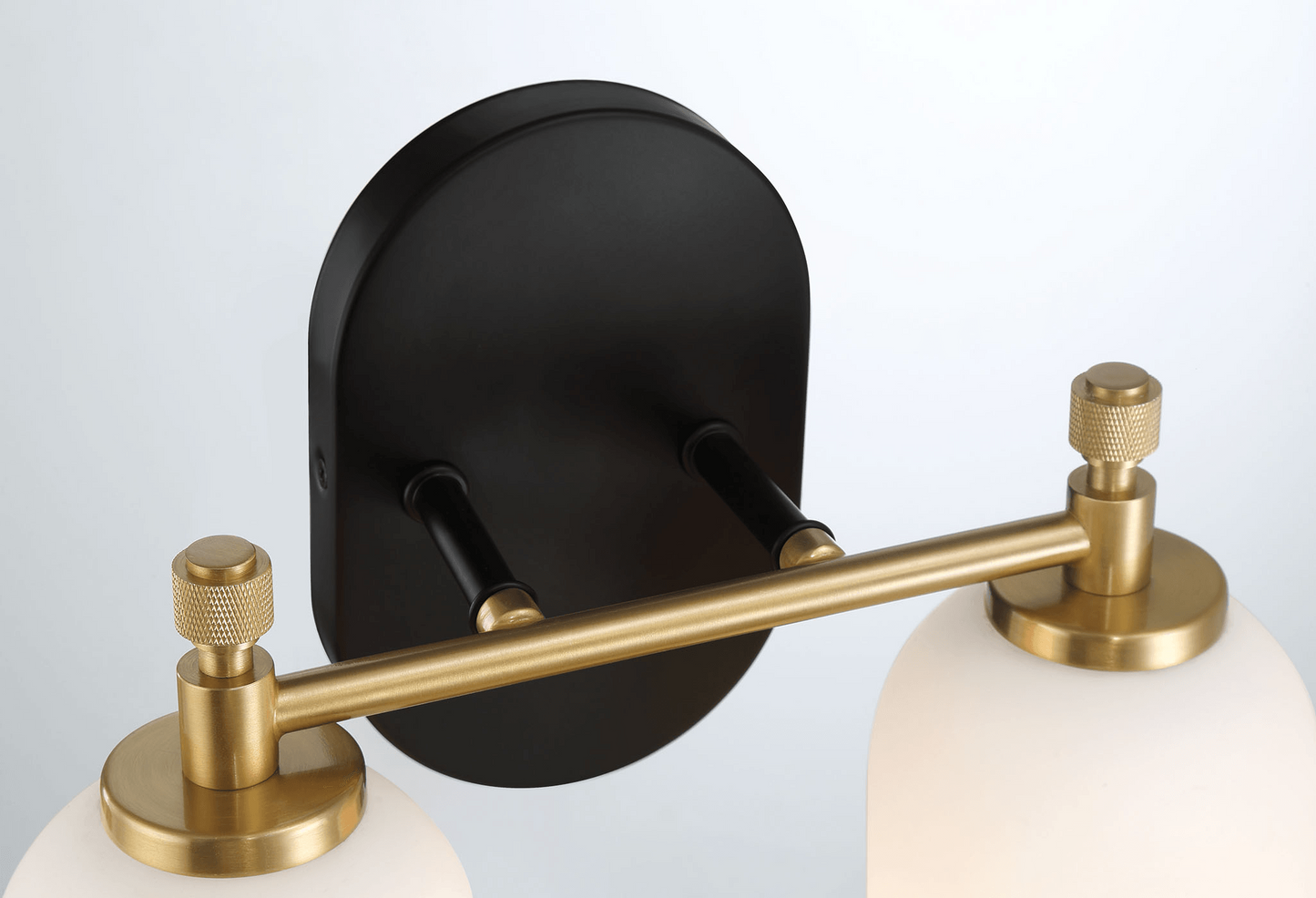 Modern black and brass double vanity light fixture with frosted glass shades