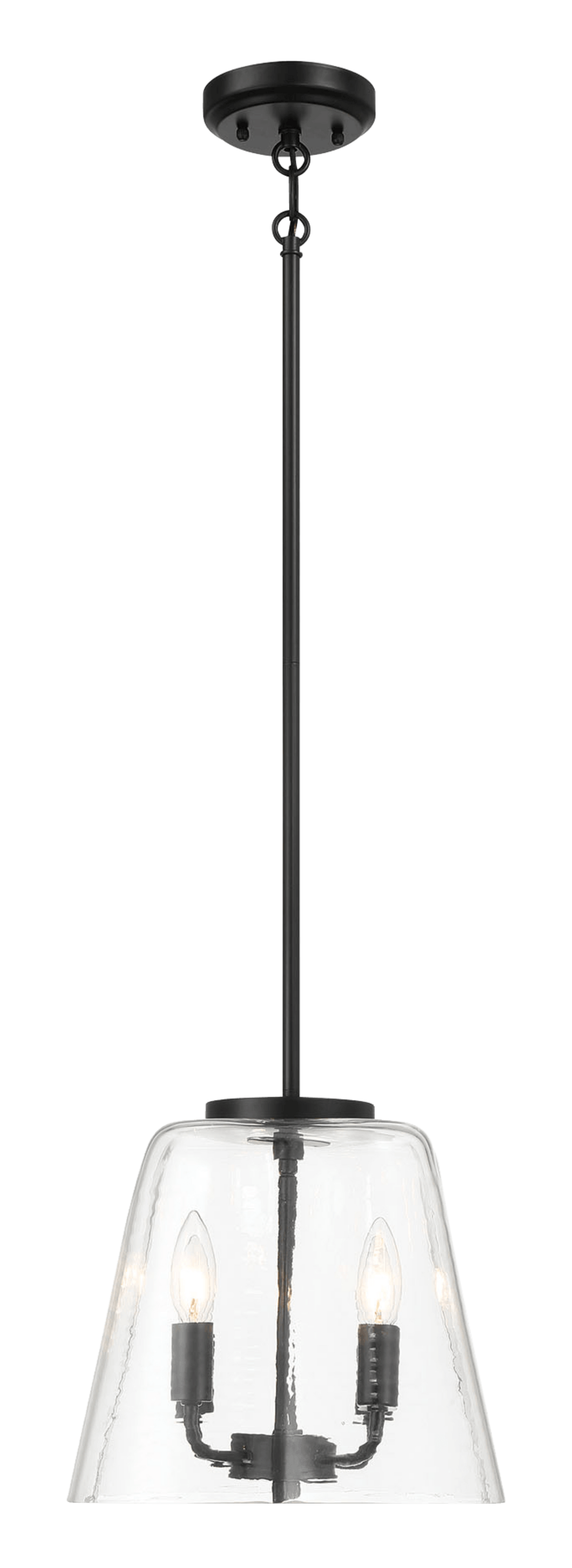 Black metal pendant light with clear seeded glass shade and two bulbs