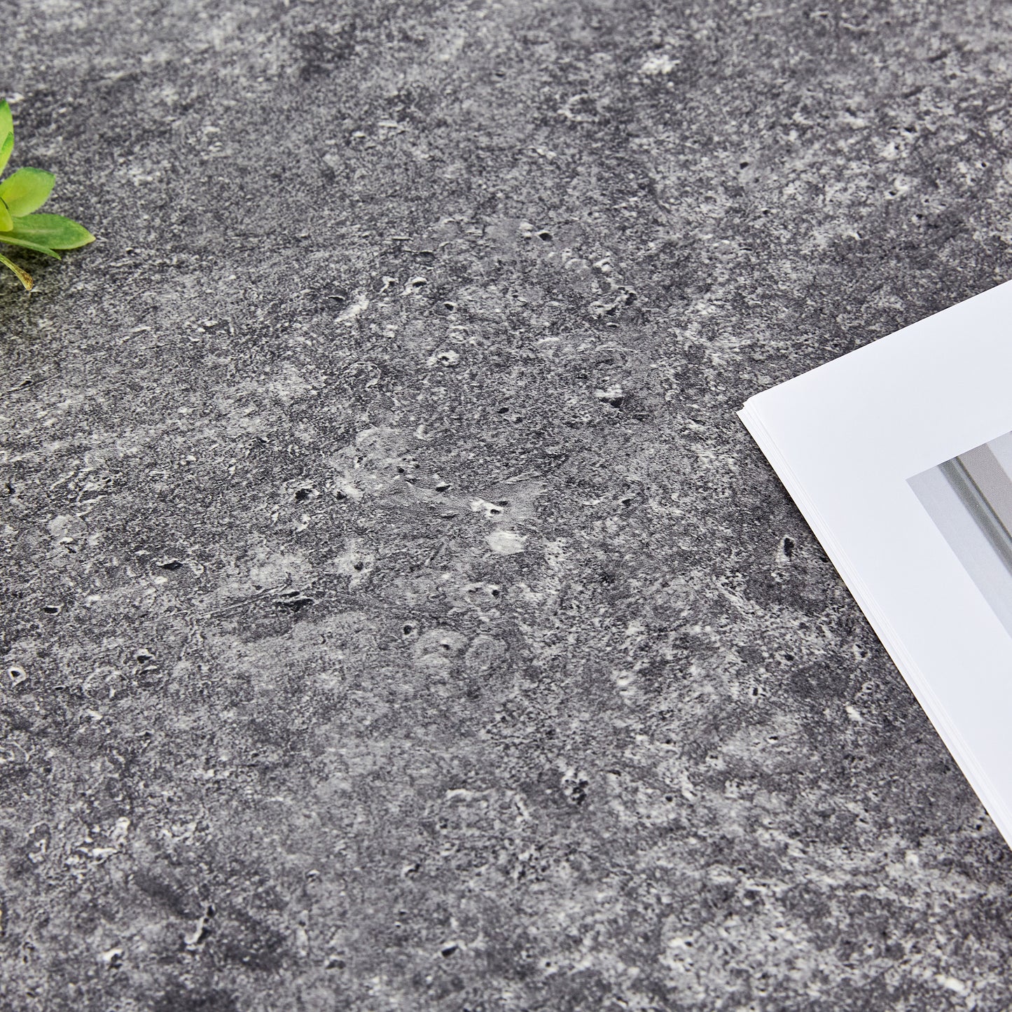 Closeup of a slate texture background with a green plant leaf accent