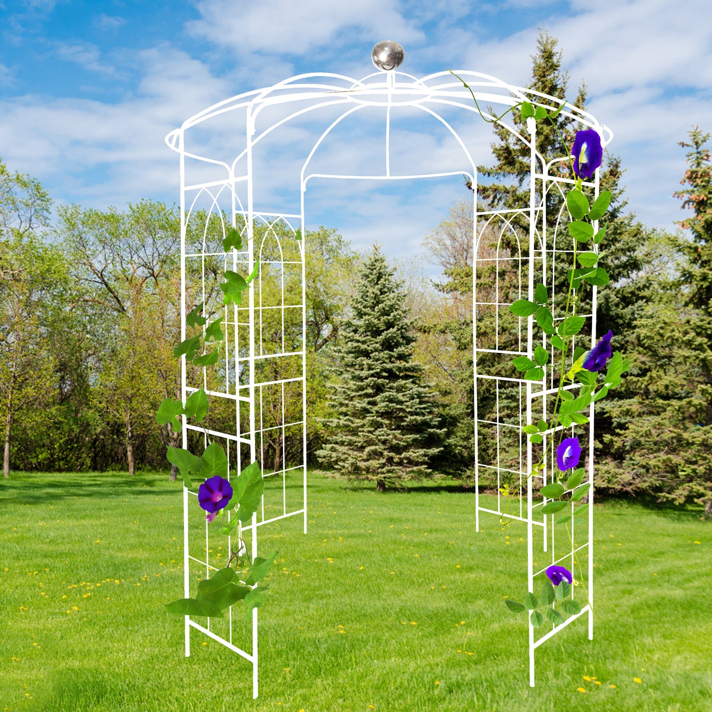 White metal garden archway with climbing purple flowers and green vines