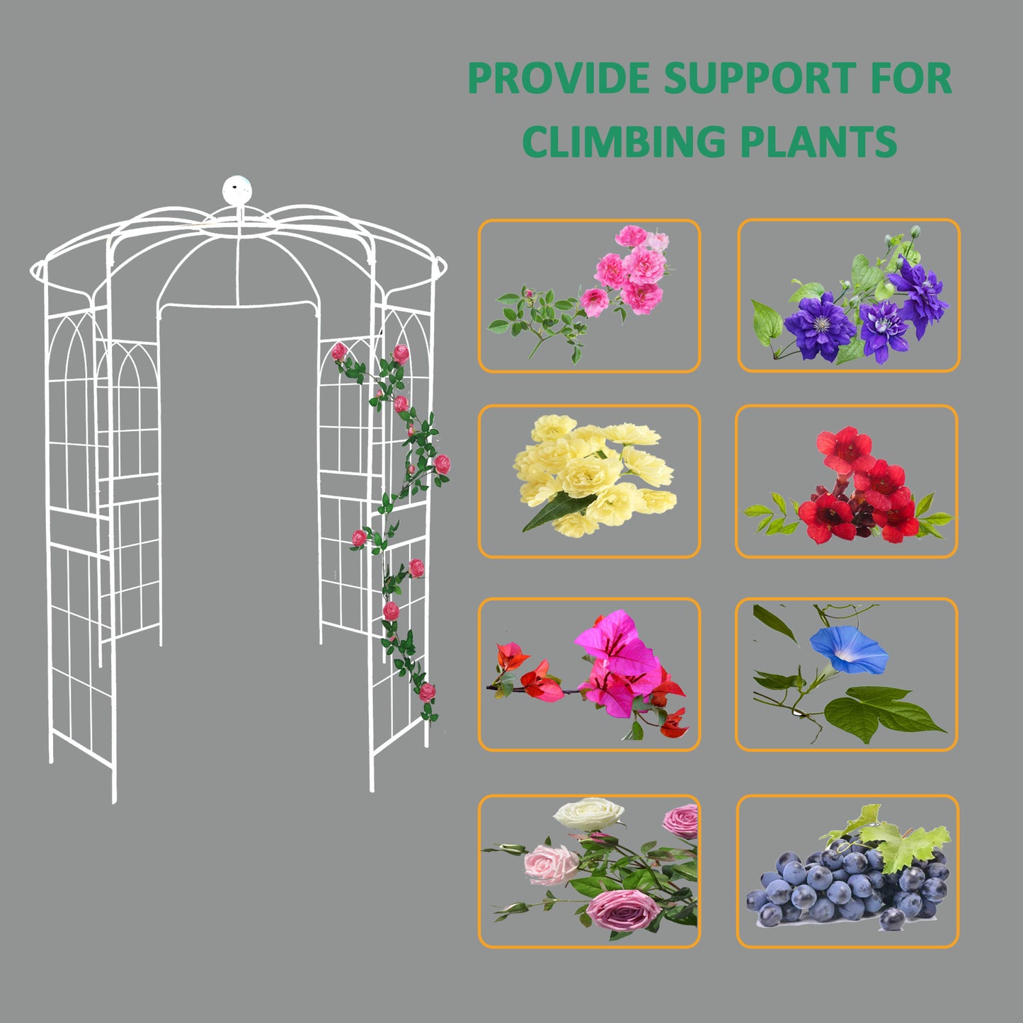White metal garden arbor supporting climbing pink roses