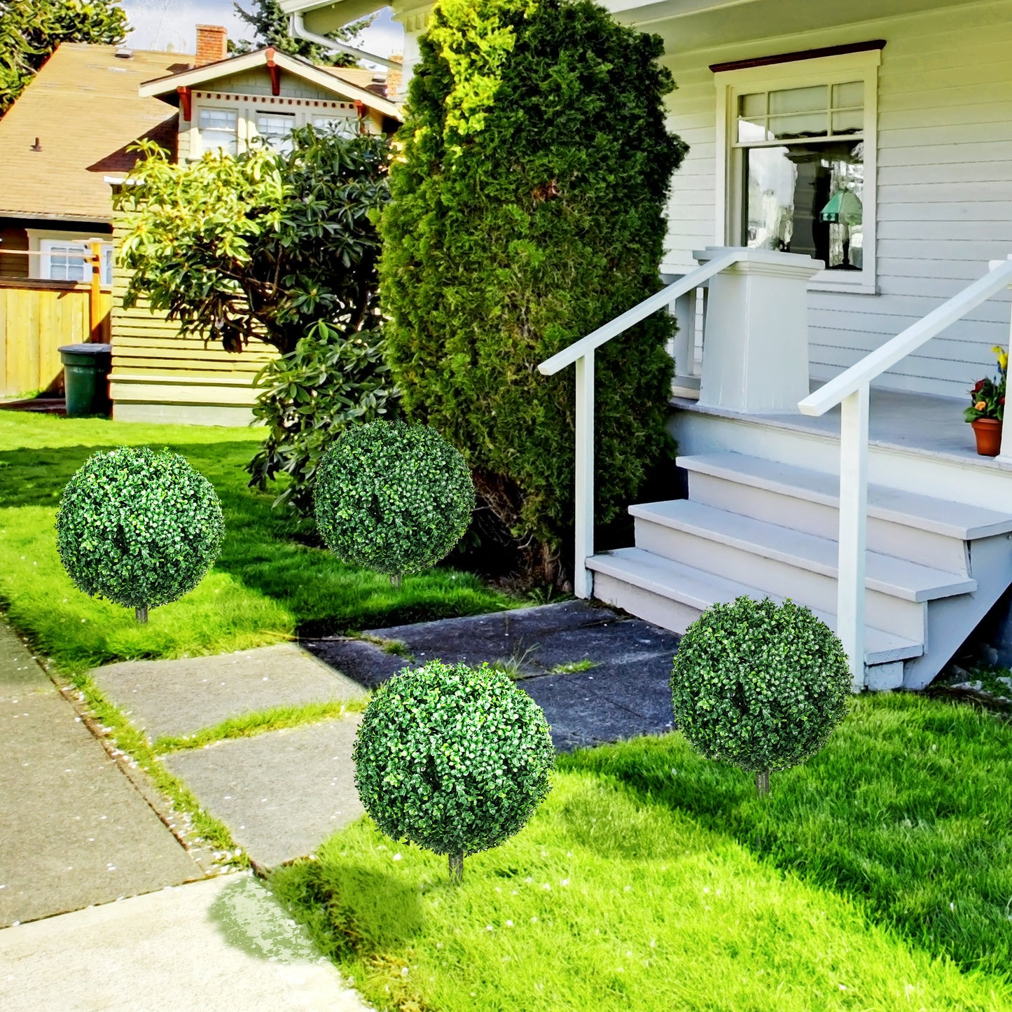 Four spherical topiary bushes with dense green foliage in a manicured garden setting