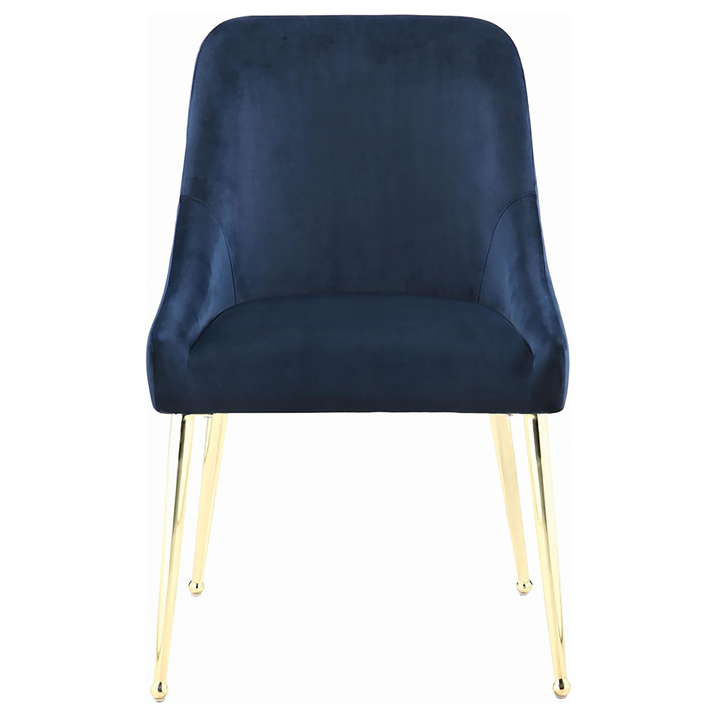Elegant navy velvet armchair with sleek gold legs perfect for modern dining