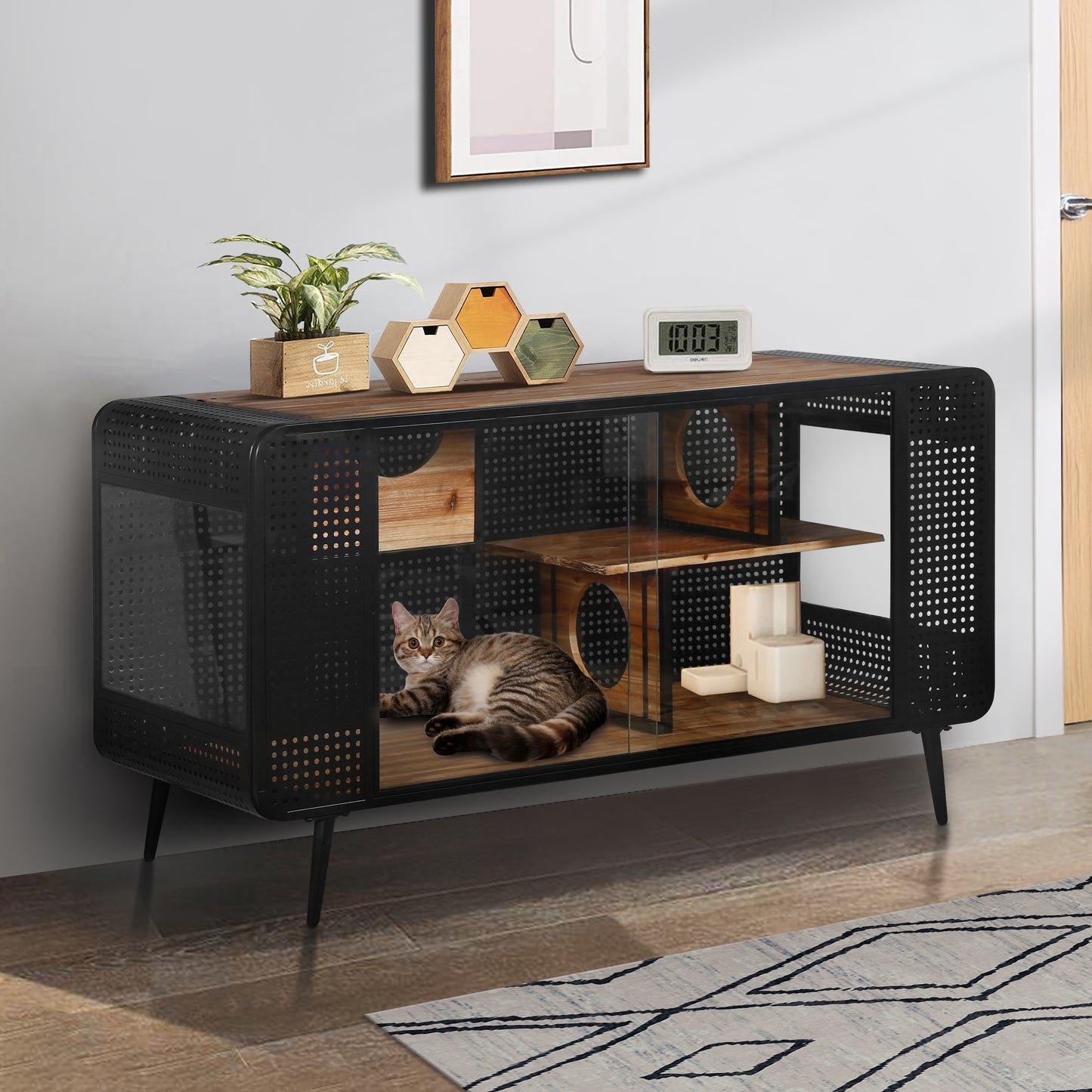 Modern black and wood cat condo with glass doors and a tabby cat inside