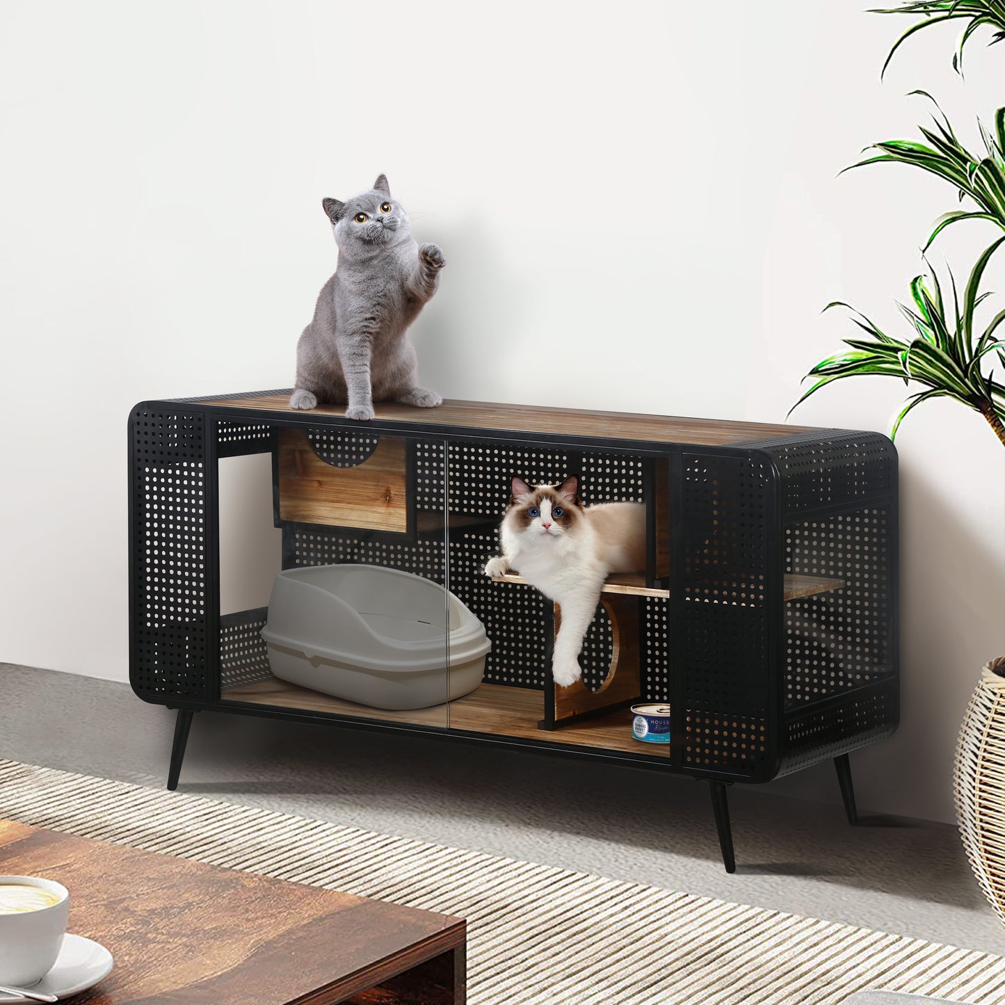 Modern black metal cat cabinet with wood top featuring two cats and a litter box