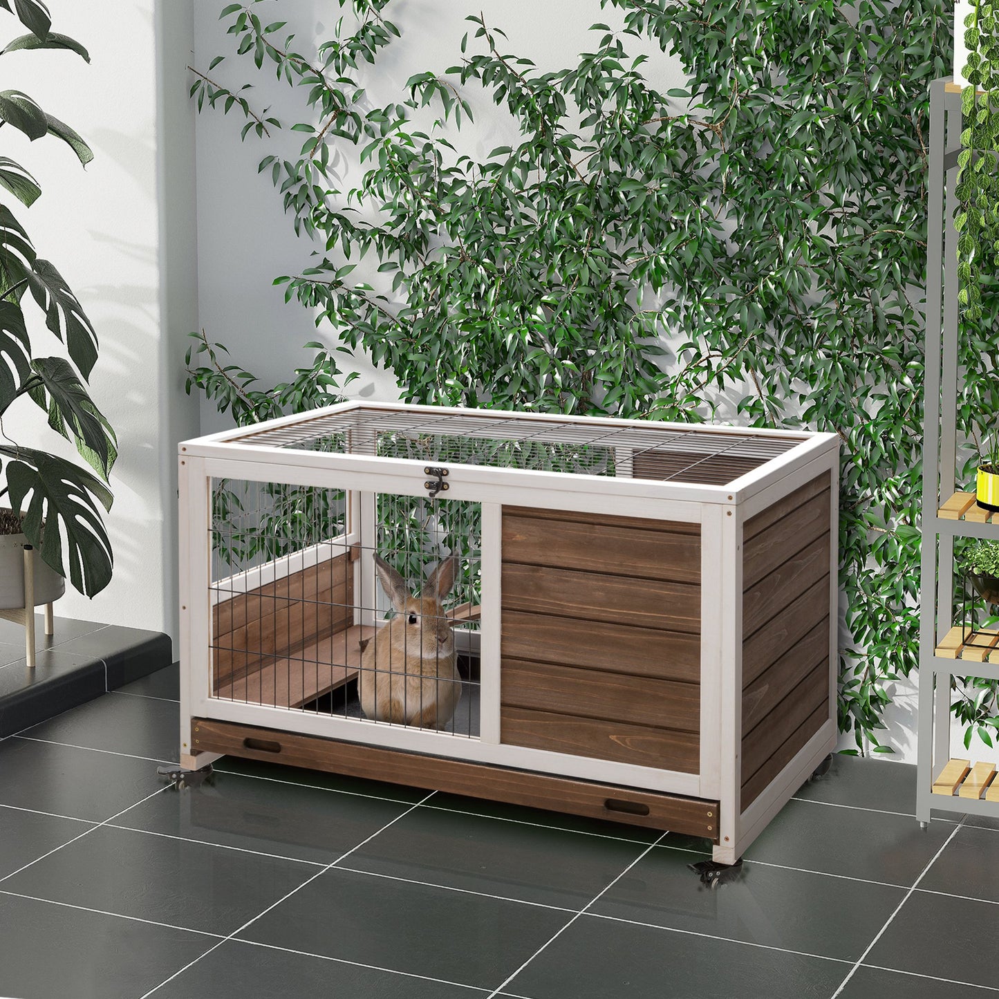 Wooden indoor rabbit hutch with wire mesh front and a small brown rabbit peeking out