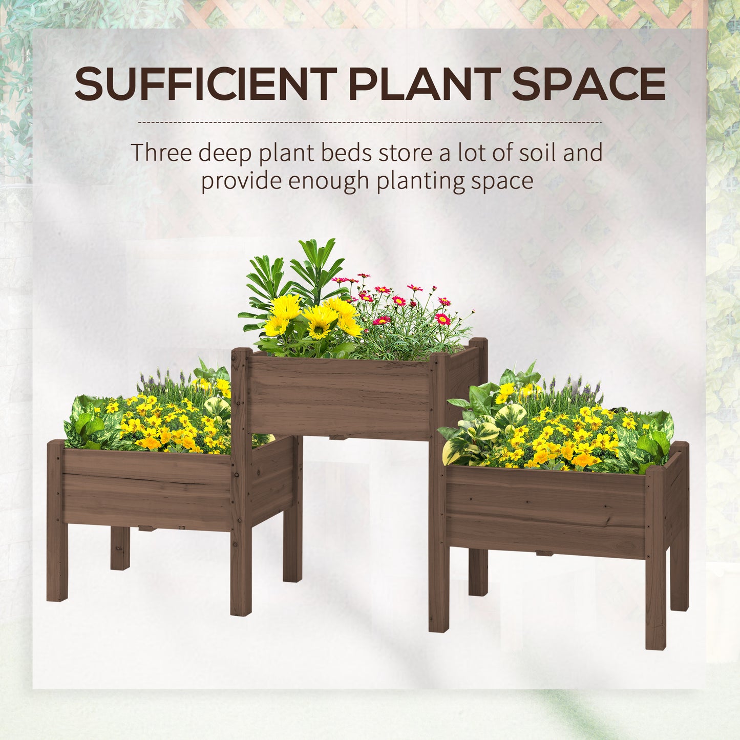 Wooden raised garden bed with yellow flowers and lavender