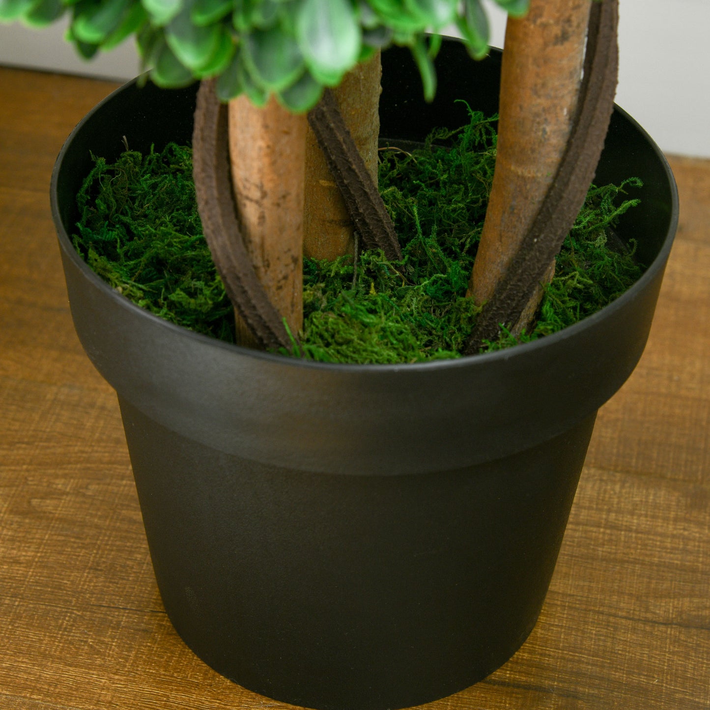 Realistic faux boxwood plant in a black pot featuring textured artificial moss Faux boxwood
