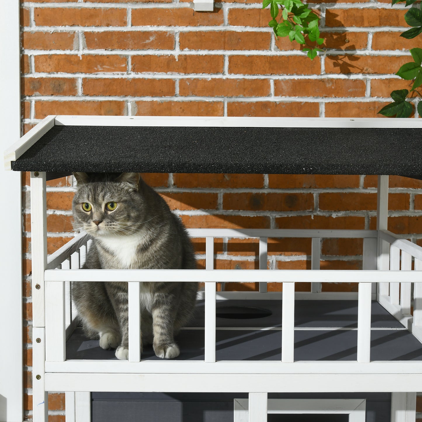 A gray tabby cat with bright green eyes sits on a white wooden cat condo shelf
