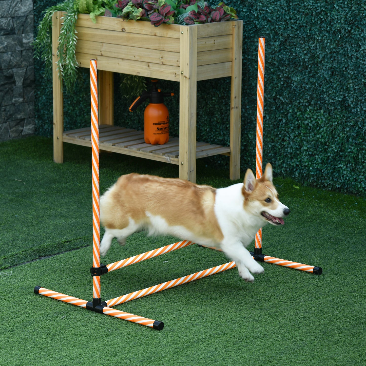 Orange and white striped dog agility jump pole set for training