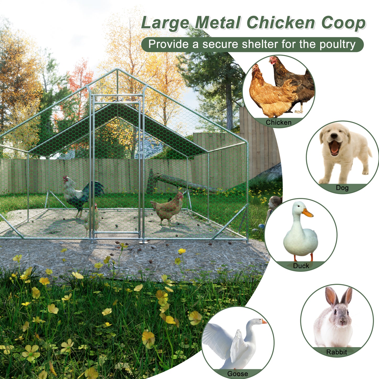 Large metal chicken coop with wire mesh enclosure and poultry inside