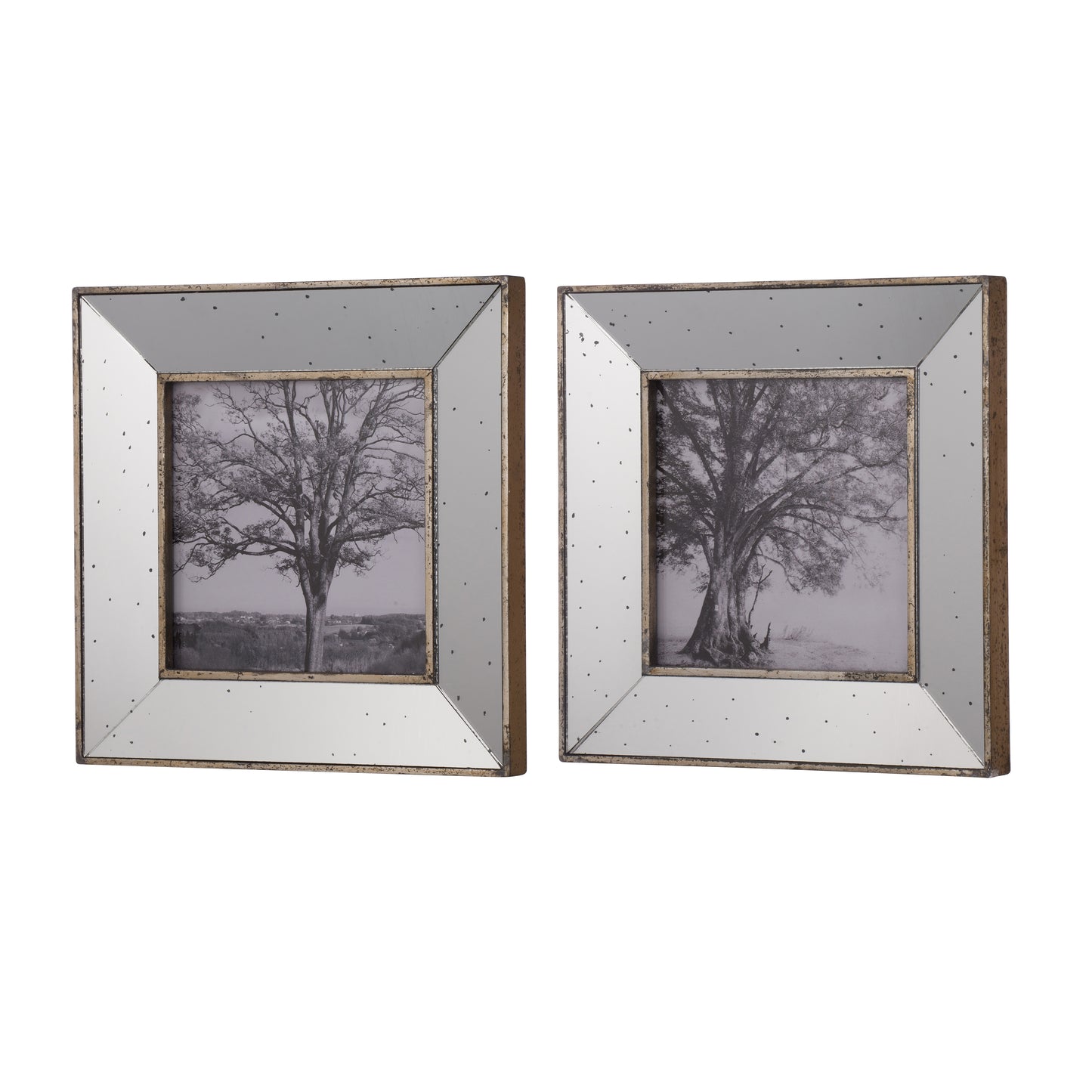 Two antique mirrored picture frames featuring black and white tree landscapes