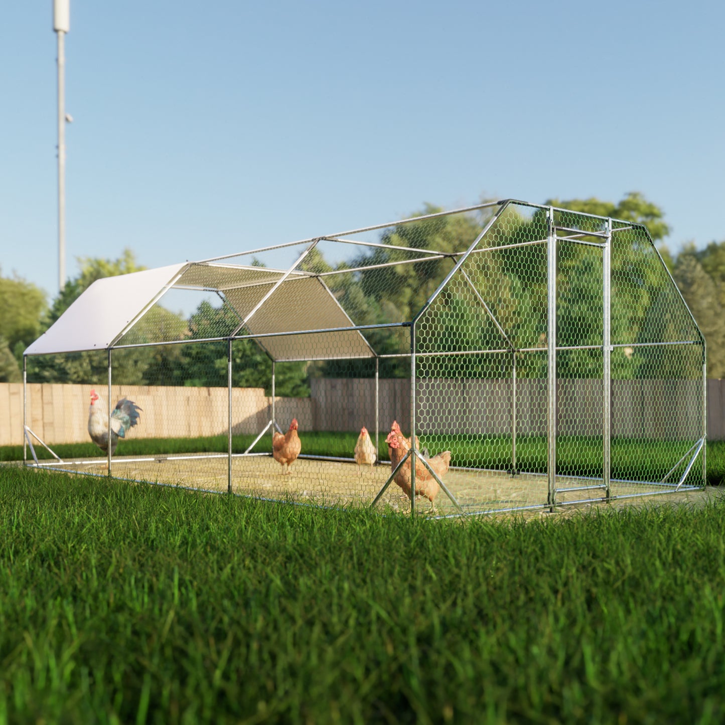 Spacious metal chicken coop with roof ideal for backyard poultry keeping and offering ample outdoor space