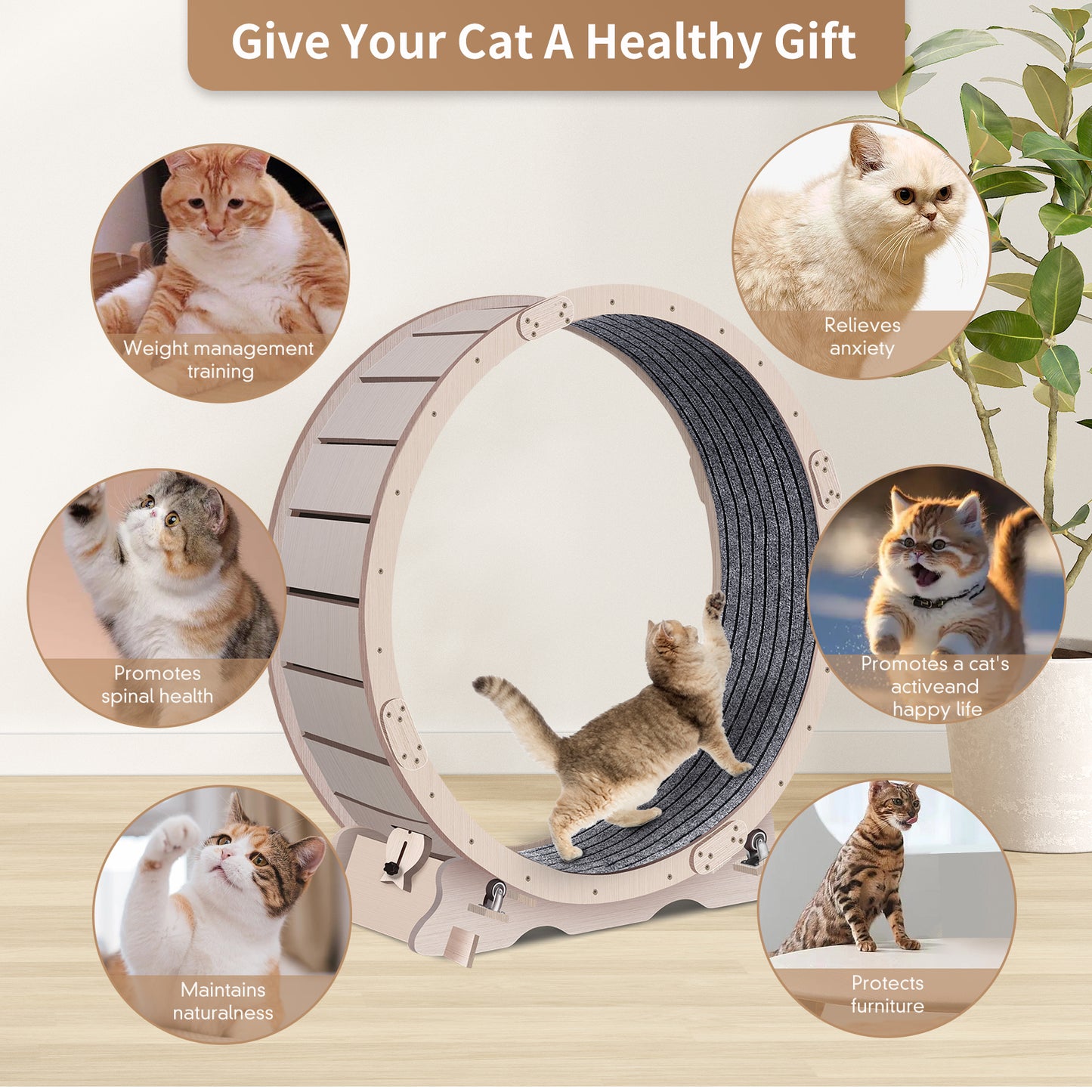 Wooden cat exercise wheel with sisal track promoting healthy weight management