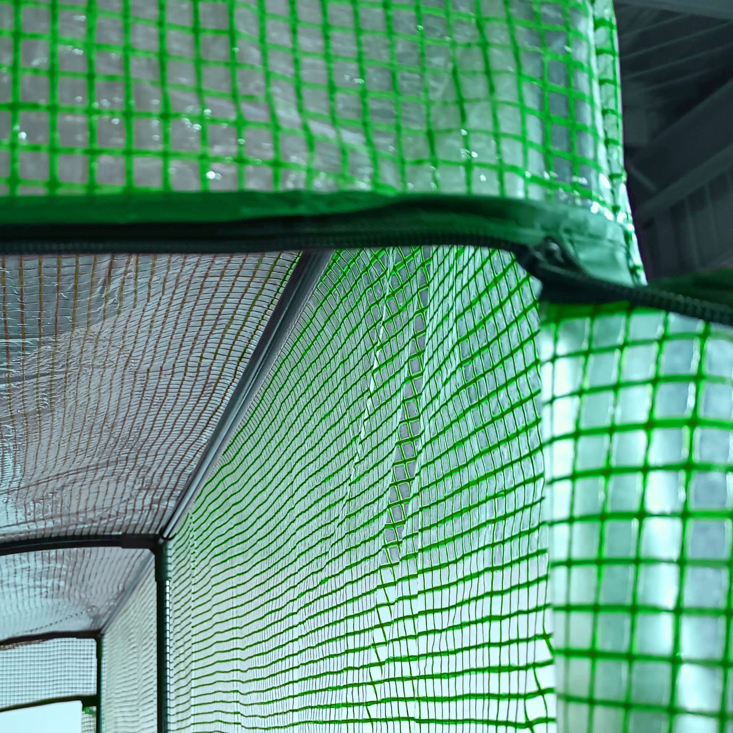Green mesh greenhouse cover with clear panels offering protection for delicate plants