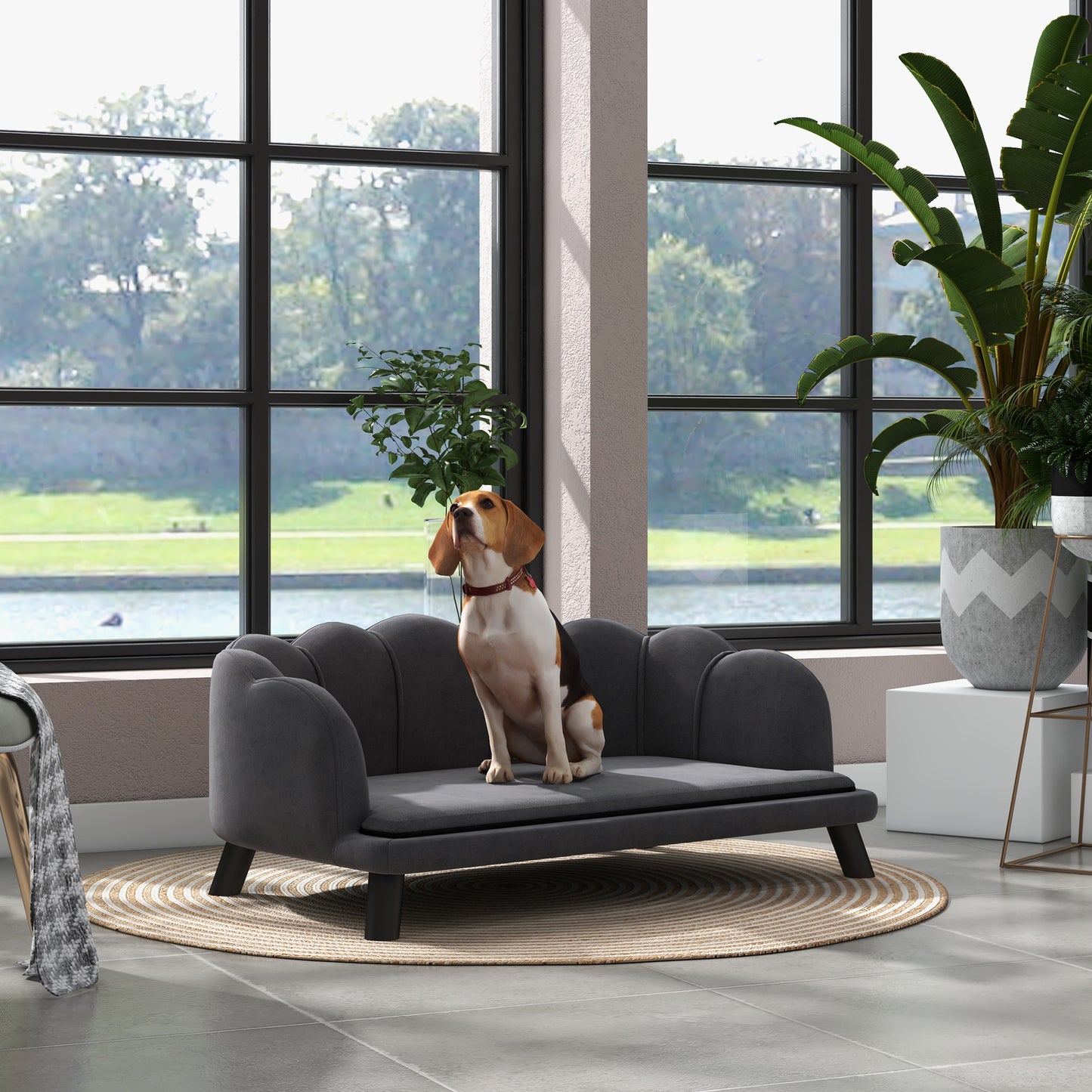 Elegant dark grey velvet pet sofa with plush cushioning featuring a beagle dog