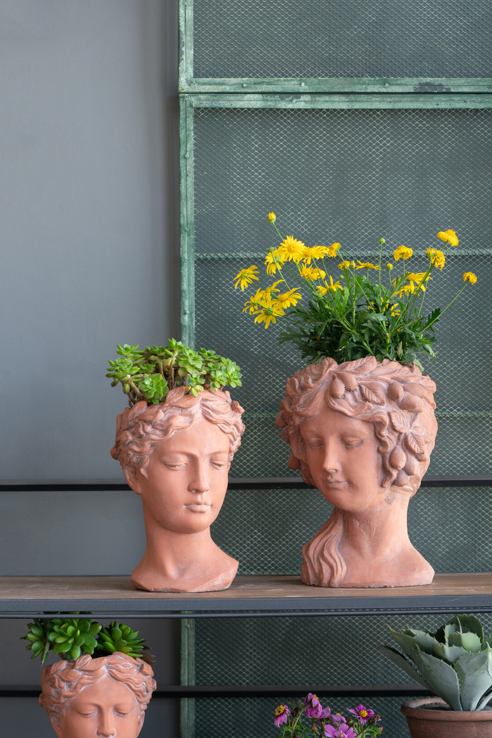 Terracotta bust planter with succulents classical design for home decor