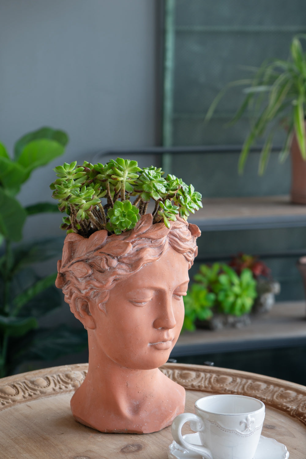 Terracotta bust planter with succulents featuring classical design and intricate details for unique plant display