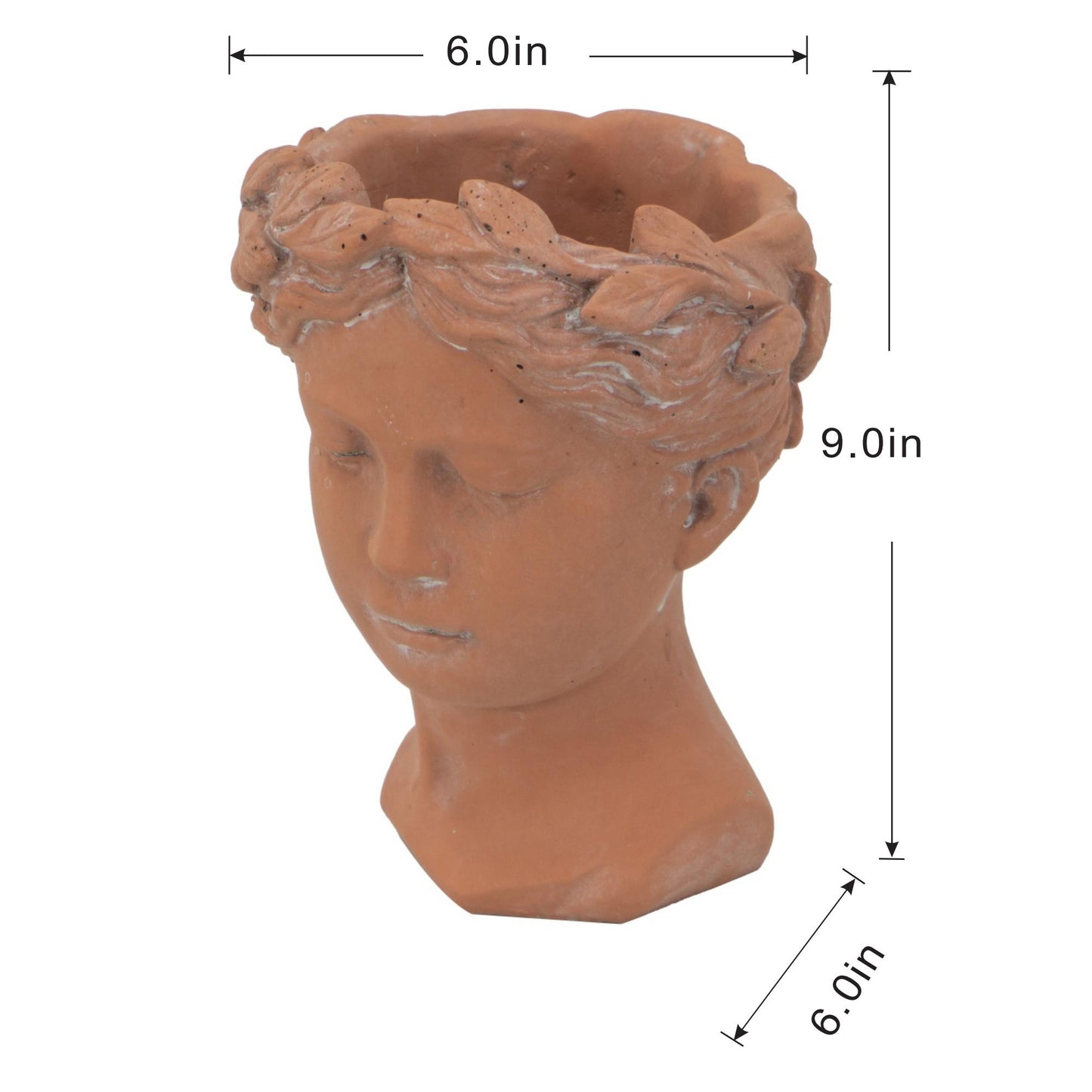 Terracotta bust planter with laurel wreath design xx inches
