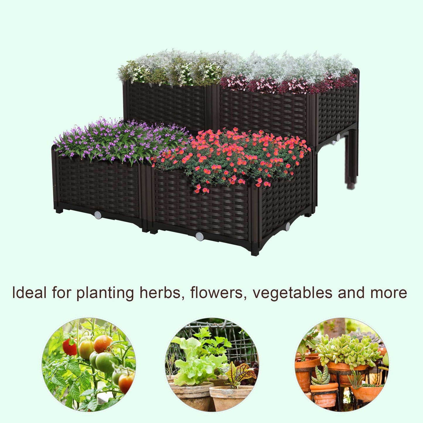Dark brown raised garden beds with purple and red flowers