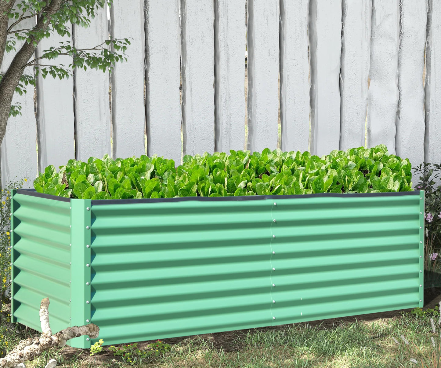 Green corrugated metal raised garden bed filled with lush lettuce plants