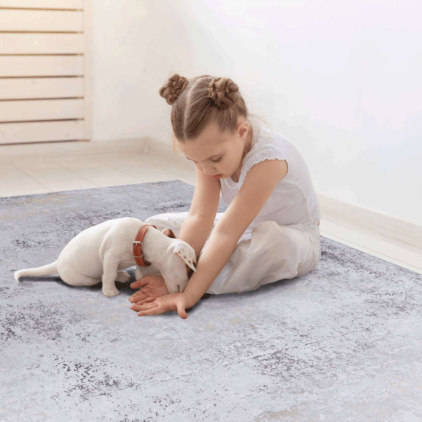 Distressed grey area rug with subtle gold accents for modern living spaces
