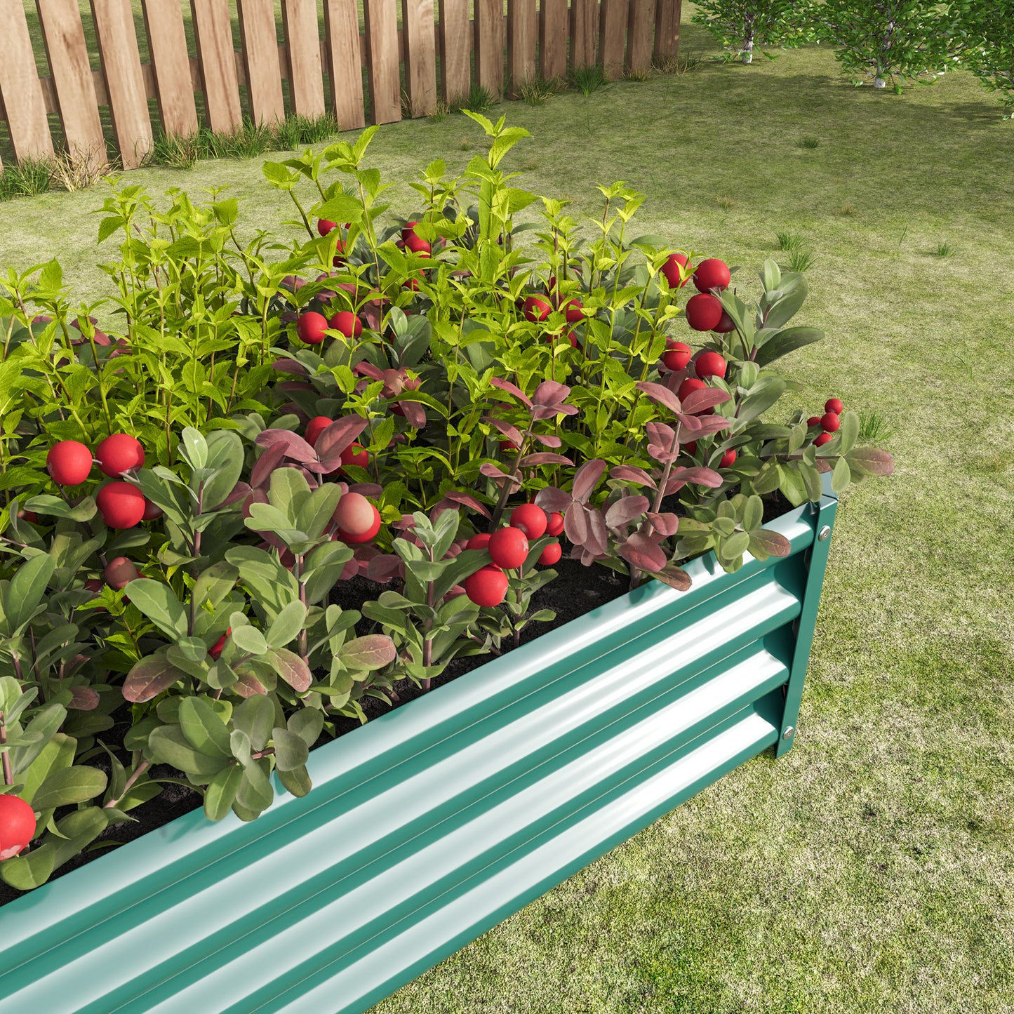 Sage green corrugated metal raised garden bed overflowing with lush green plants and bright red berries