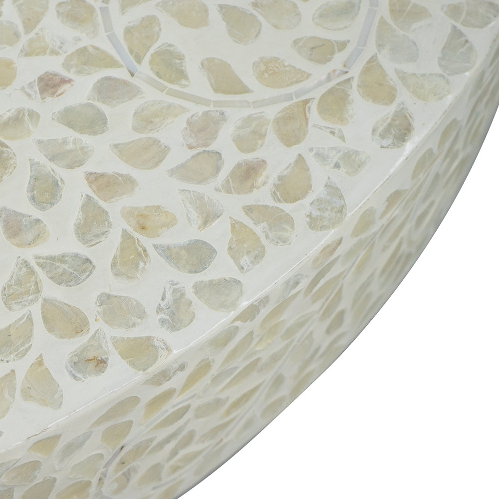 Closeup of a decorative inlaid tray with mother of pearl shell segments adding elegant texture