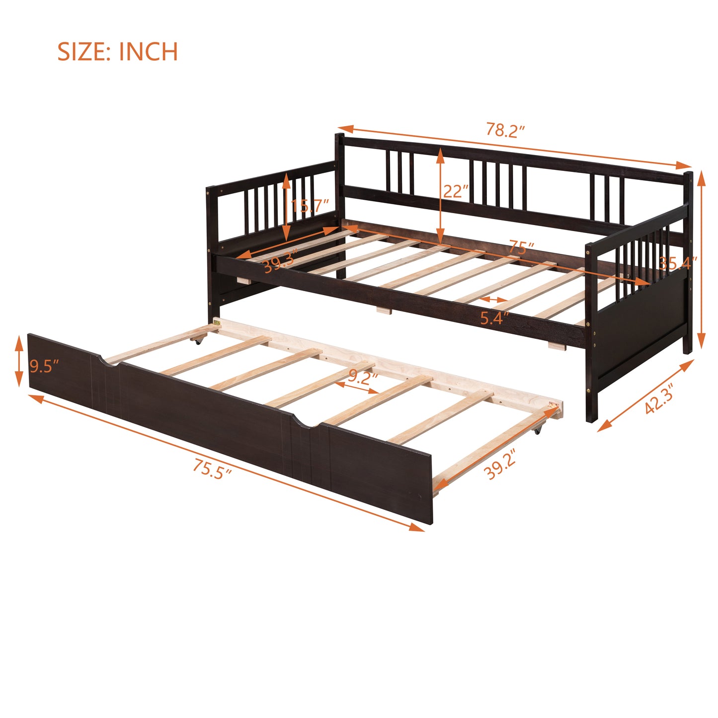 Dark brown wooden daybed with pullout trundle showcasing dimensions for a twin bed