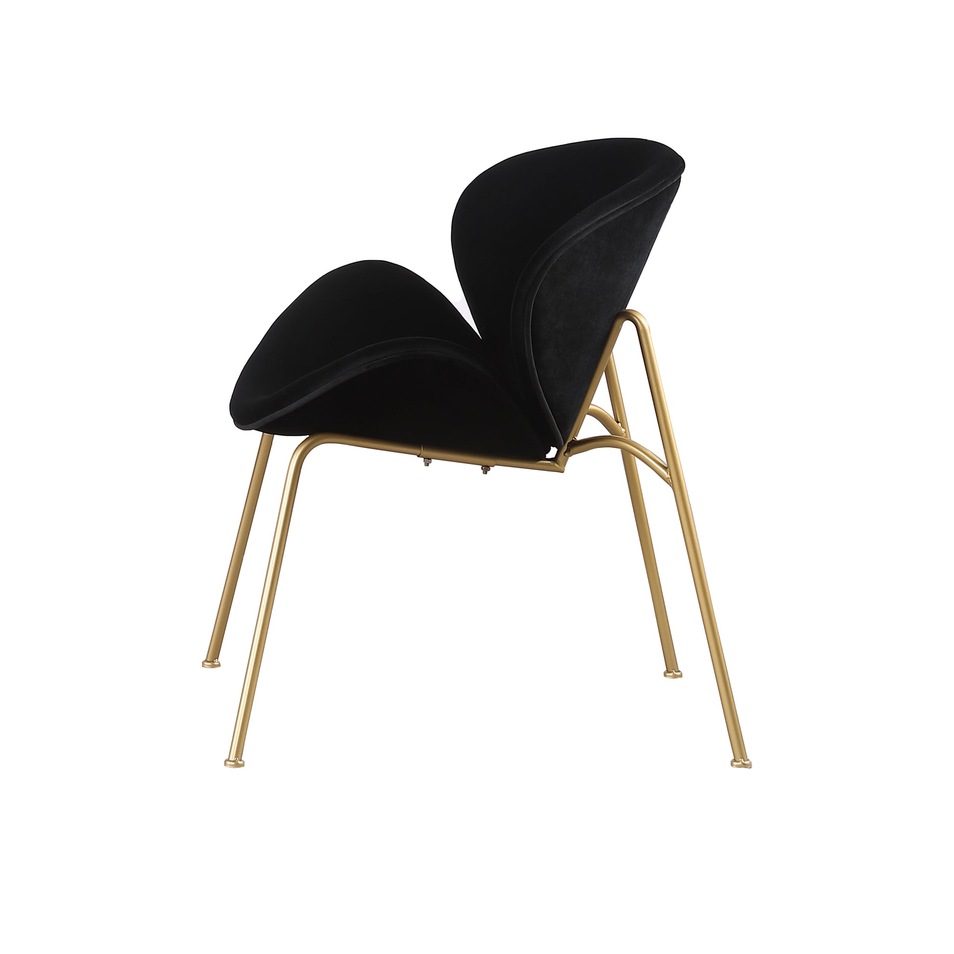Black velvet modern accent chair with gold metal legs