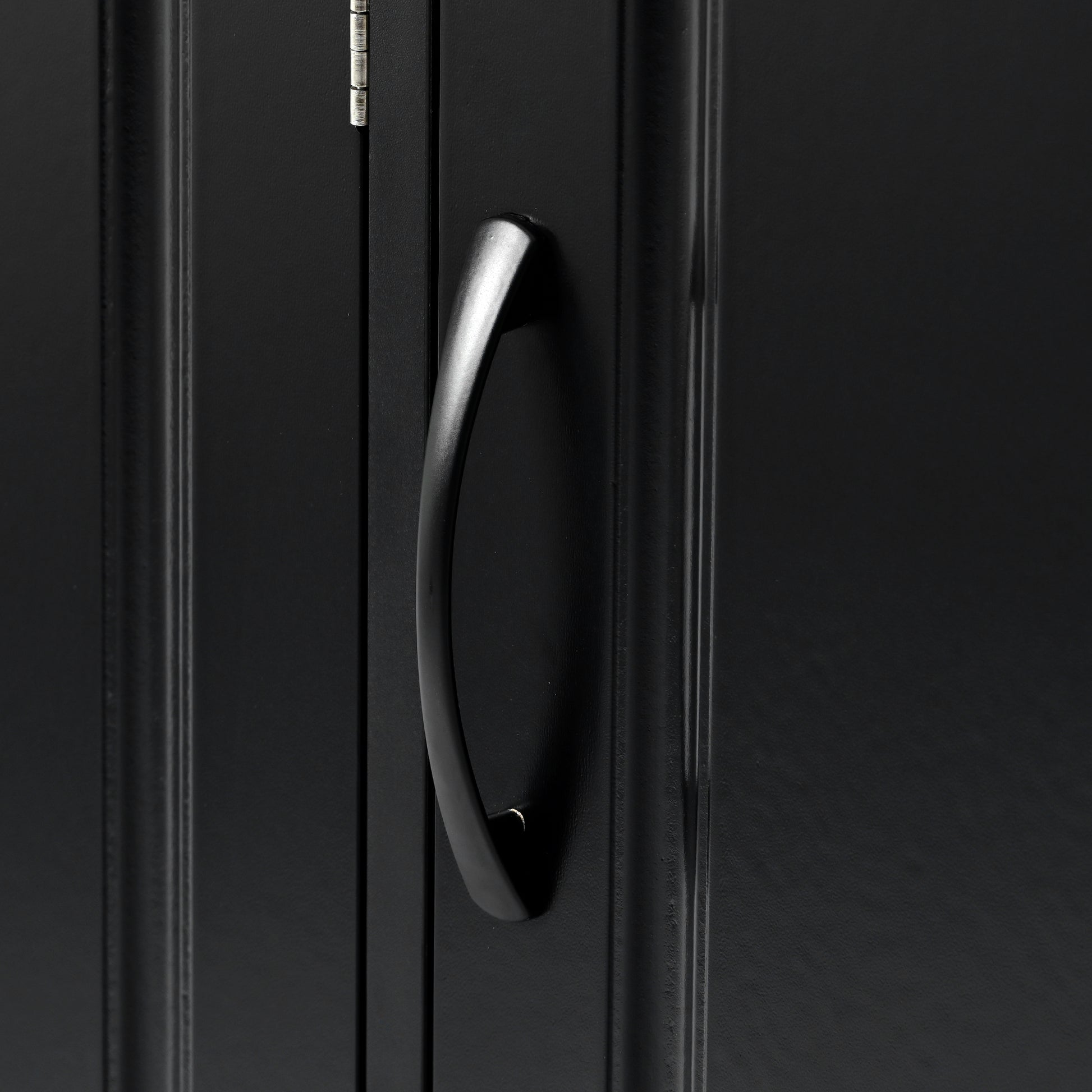 Black cabinet door with curved silver handle