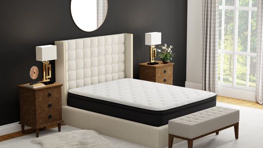 TREATLIFE HOME Twin 12" Euro Top Hybrid Memory Foam Mattress, Medium Firm Comfort, Bed in a Box Design, White and Black