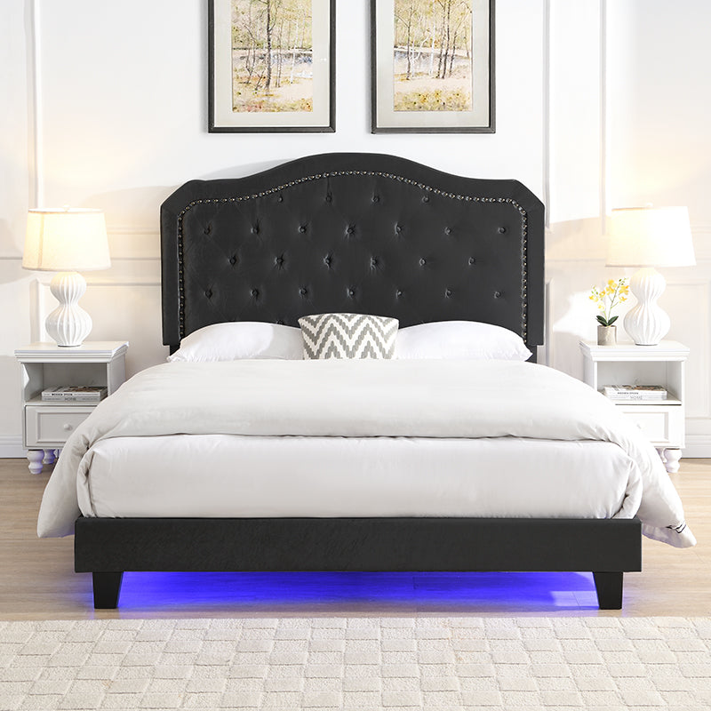 Modern Upholstered Bed with LED Lights and Tufted Design - Black Velvet