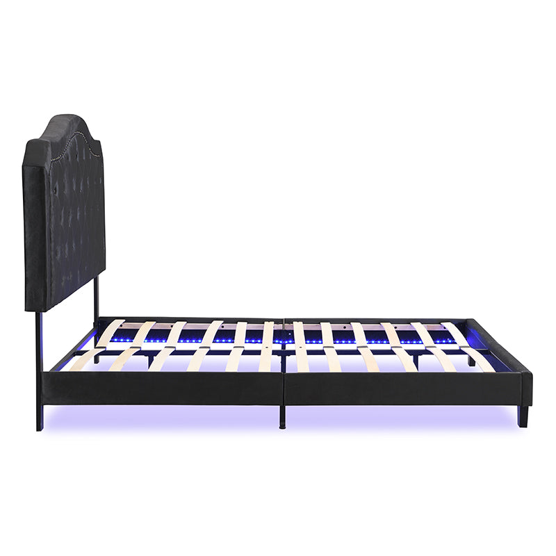 Modern Upholstered Bed with LED Lights and Tufted Design - Black Velvet